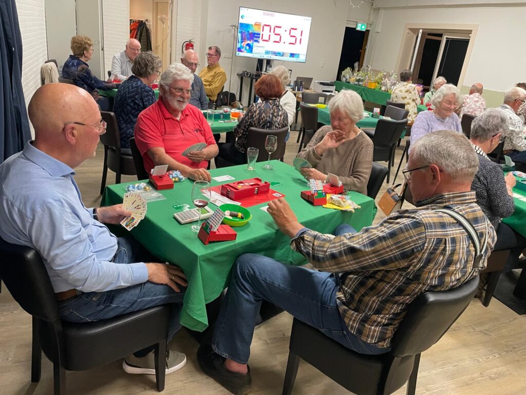 Bridgen is goed voor het brein